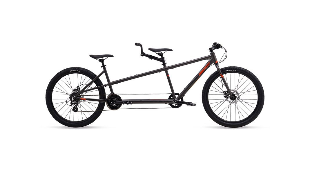 POLYGON IMPRESSION AX DISC